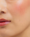 Lip & Cheek Tint - SCARLET - Posie