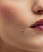 Lip & Cheek Tint - NELL - Posie